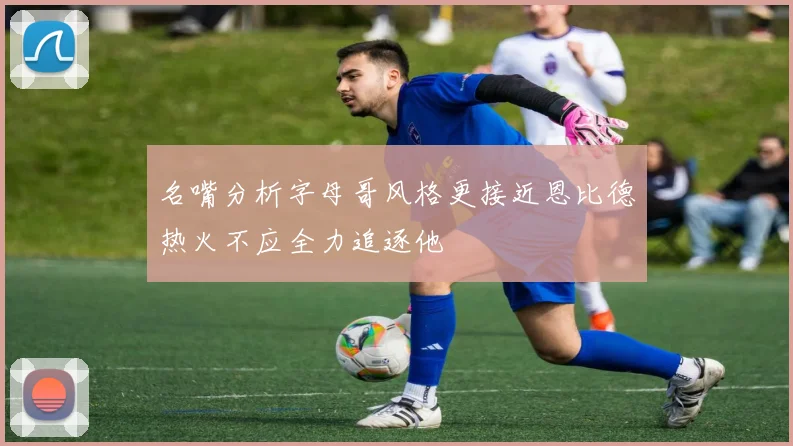 名嘴分析字母哥风格更接近恩比德热火不应全力追逐他