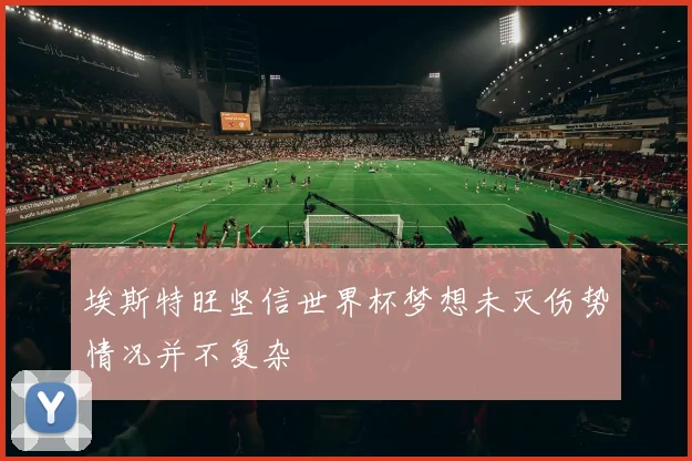 埃斯特旺坚信世界杯梦想未灭伤势情况并不复杂
